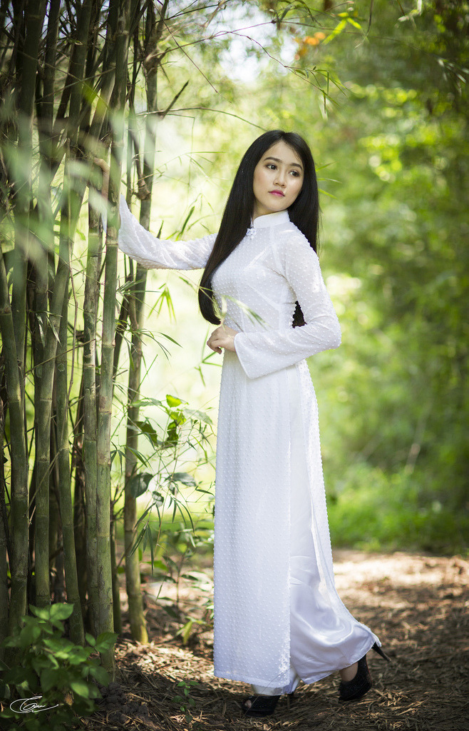 裙子里面的怪兽